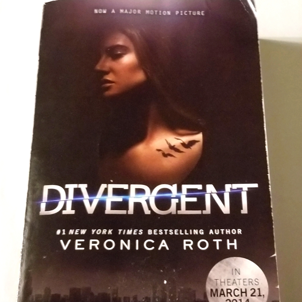 The first Divergent book